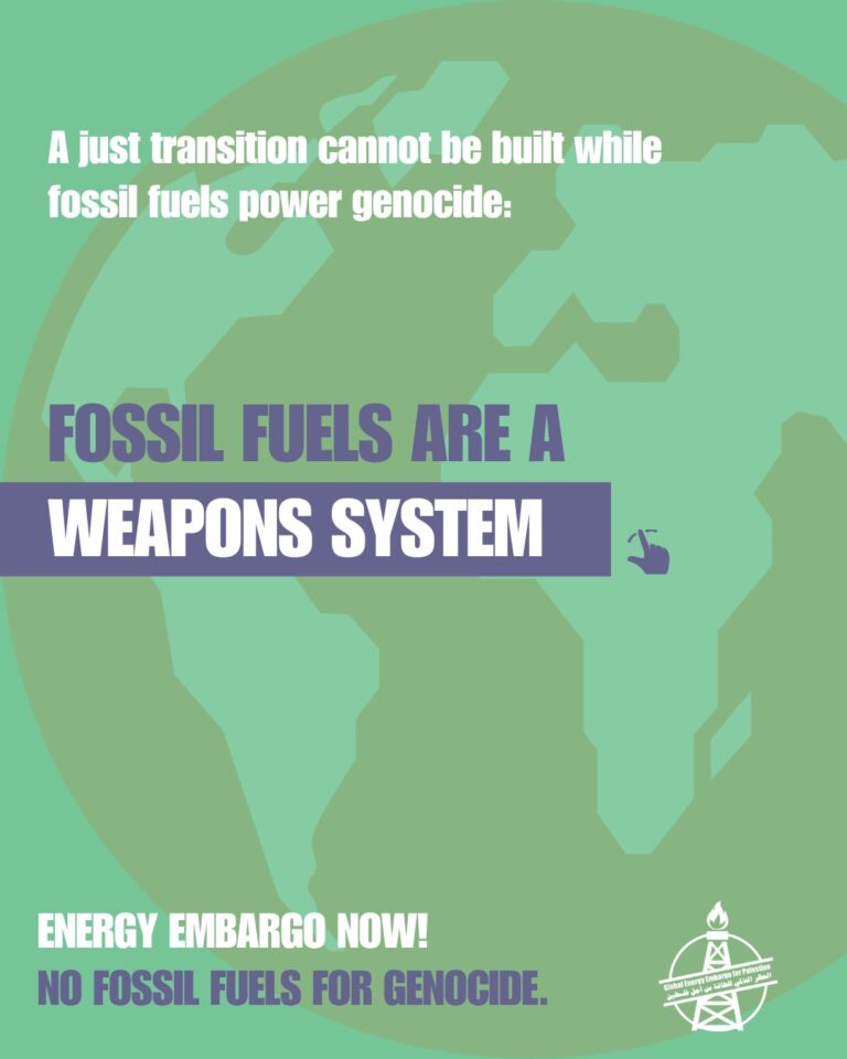 Instagram post from palenergyembargo. This post is in position 1.