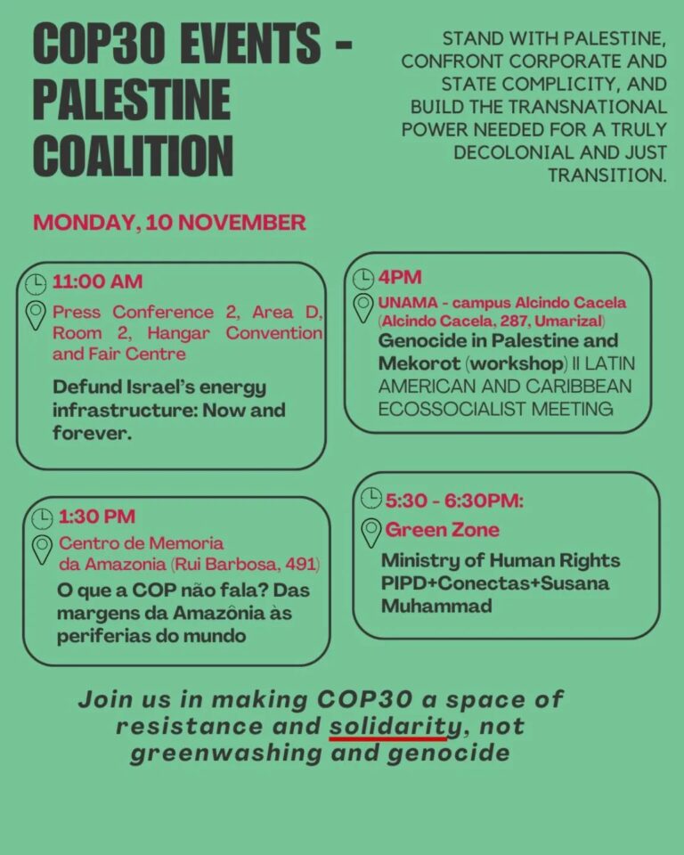 Instagram post from palenergyembargo. This post is in position 2.