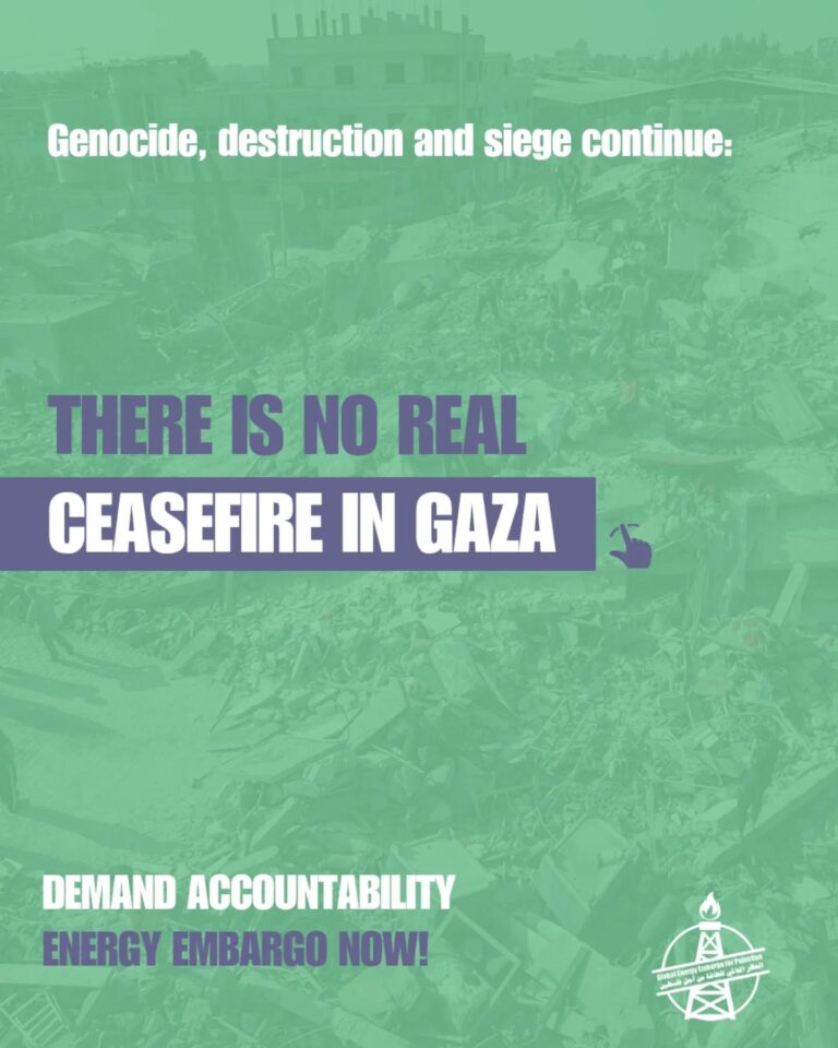 Instagram post from palenergyembargo. This post is in position 2.