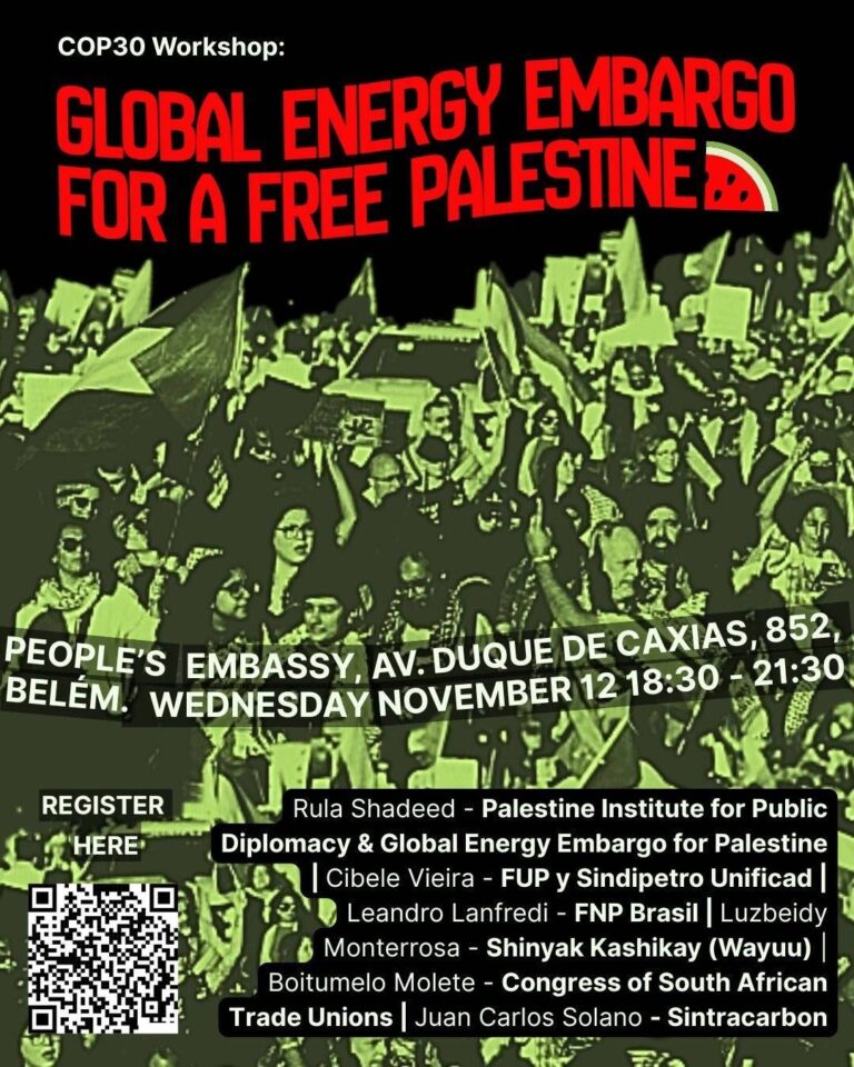 Instagram post from palenergyembargo. This post is in position 1.