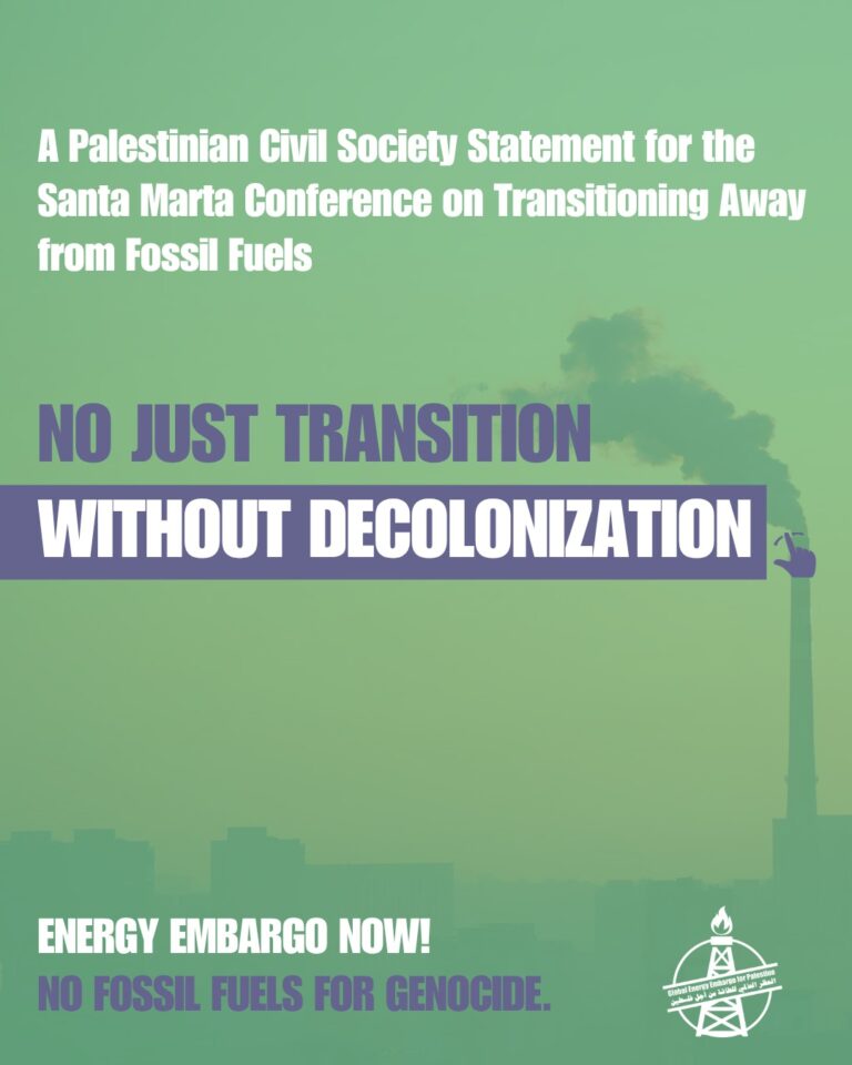 Instagram post from palenergyembargo. This post is in position 1.