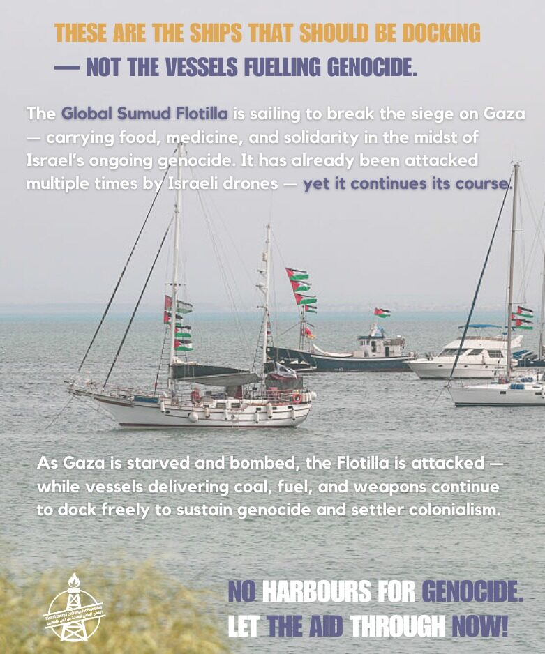 Instagram post from palenergyembargo. This post is in position 5.